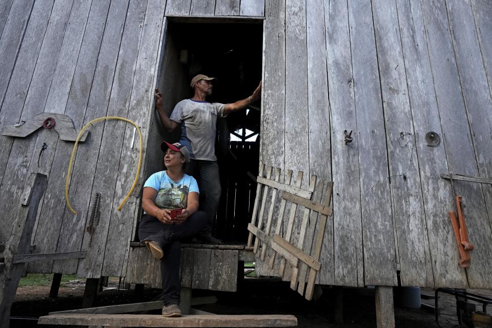 Rubber-tapper Luzineide Marques da Silva and her husband Eneas Souza Campos appear at the door of their house in the Chico Mendes Extractive Reserve, in Xapuri, Acre state, Brazil, Tuesday, Dec. 6, 2022. Classic rubber tapping is done by slicing grooves into the bark of rubber trees and collecting the latex that oozes out. But that artisanal rubber has fallen into decline over decades, a casualty of synthetic rubber made in chemical factories or rubber grown on plantations. (AP Photo/Eraldo Peres)