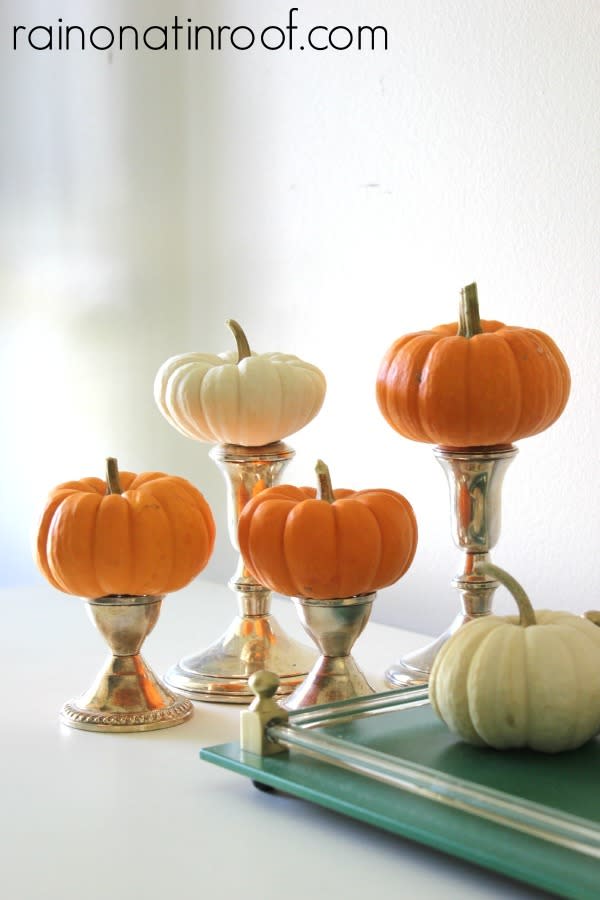 Mini pumpkin display