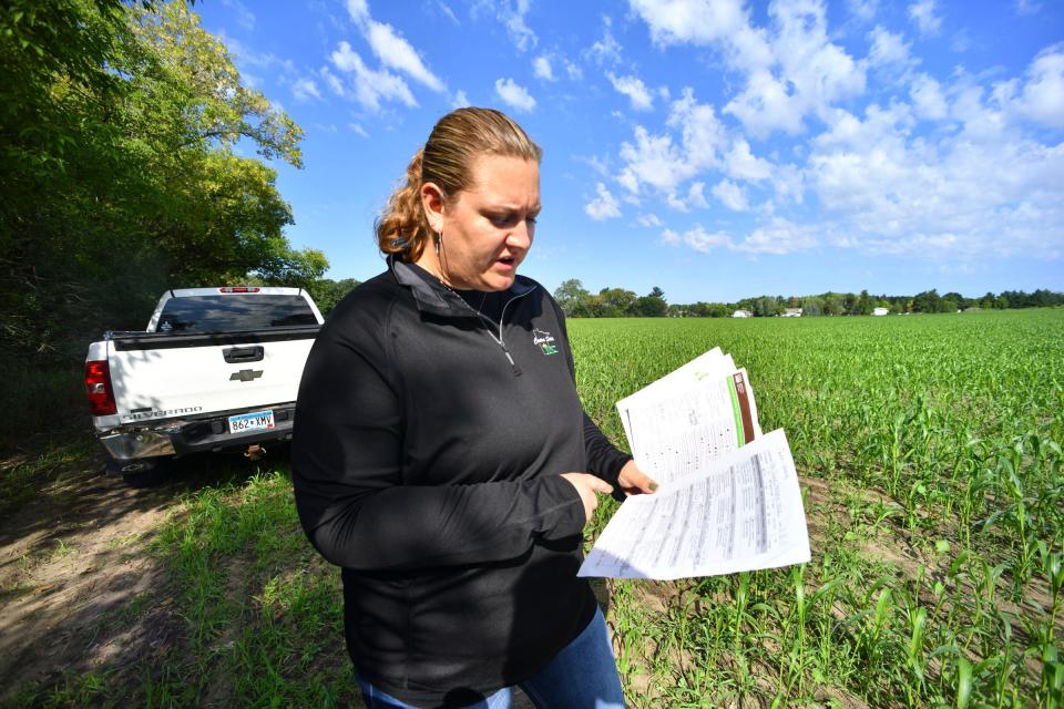 Centra Sota Cooperative Lead Nutrient Management Specialist and Certified Crop Advisor Amy Robak looks at a printed soil survey Tuesday, Aug. 31, 2021, in a field near Little Falls.