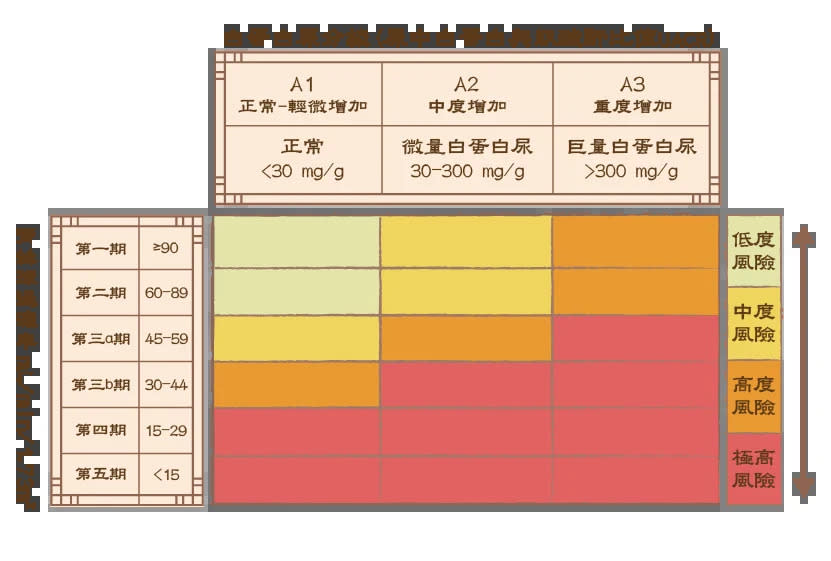 交叉比對「2數值」揪慢性腎病