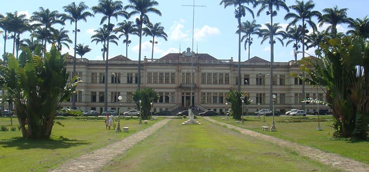 7. Universidad Federal de Minas Gerais (Brasil)