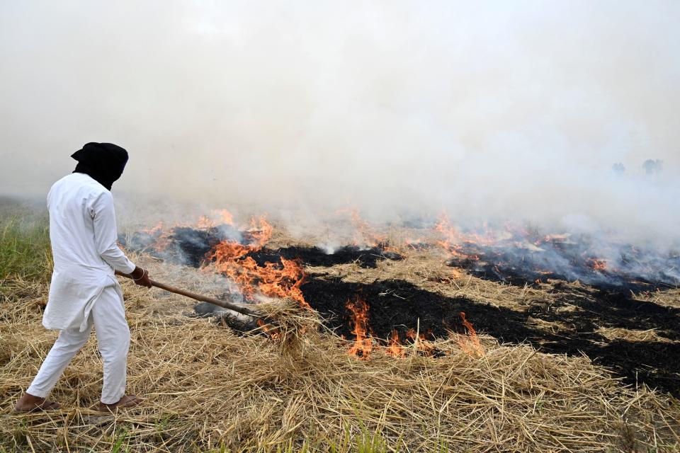 A farmer burns straw stubble after harvesting a paddy crop in a field on the outskirts of Amritsar, in India's Punjab state, October 20, 2022. / Credit: NARINDER NANU/AFP/Getty