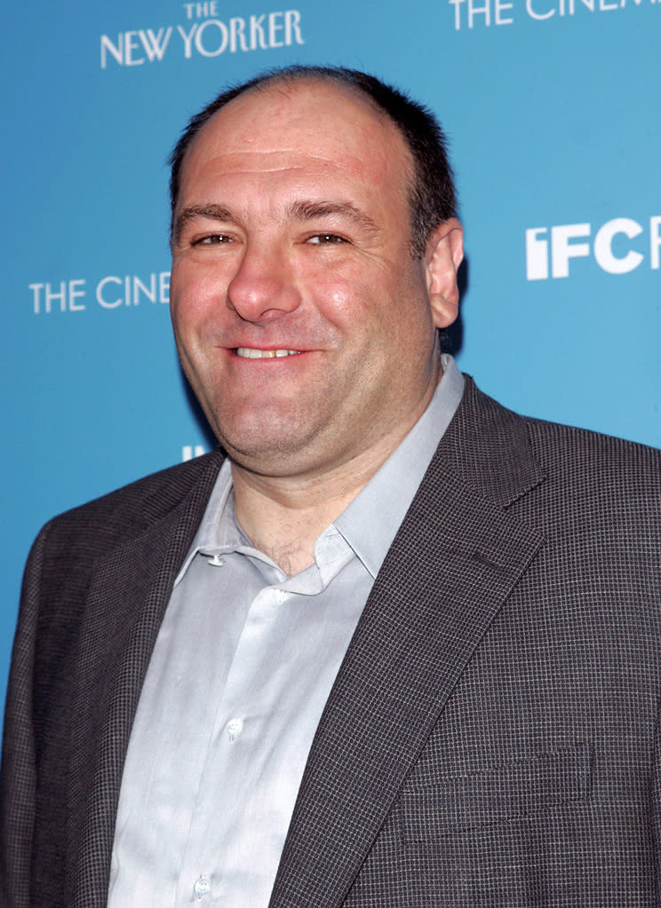 In the Loop NY Screening 2009 James Gandolfini