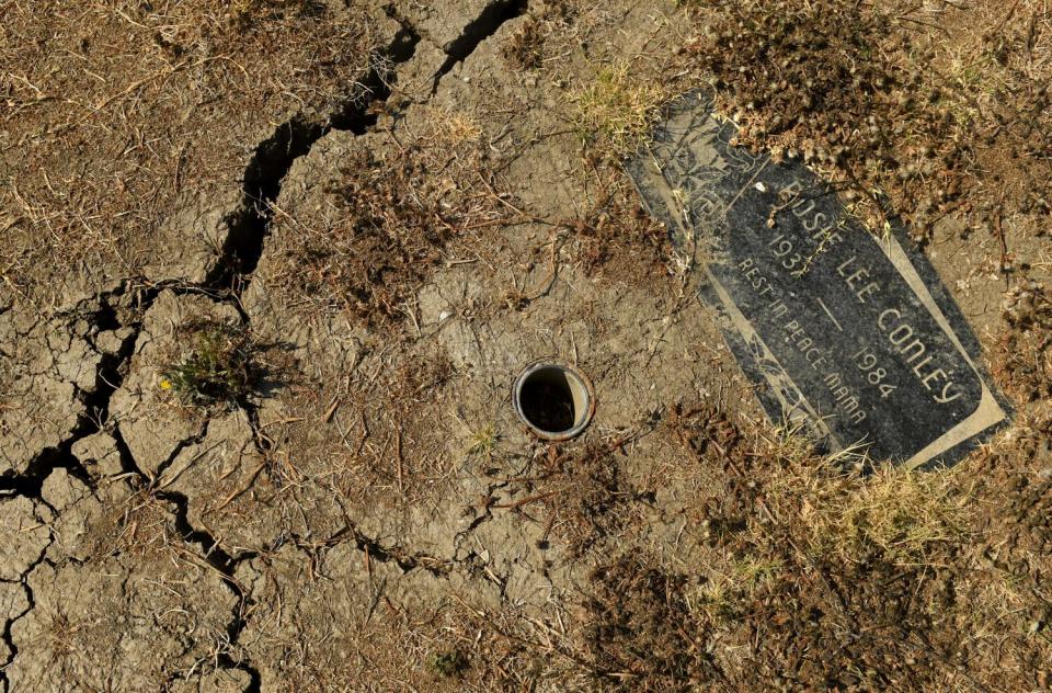 Weeds take over a gravesite with cracked earth around it.