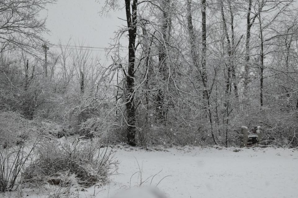 Wednesday's snow turned rural Monroe County into a winter wonderland.