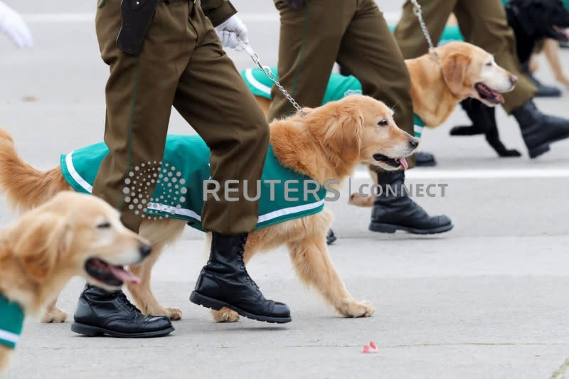 Desfile militar anual en el parque Bernardo O'Higgins, en Santiago