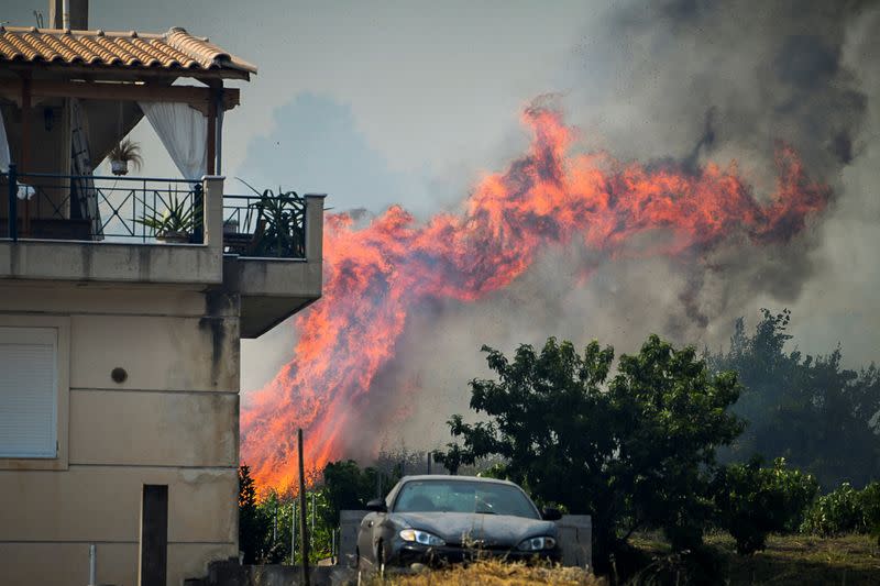 Wildfire burns at the village of Krestena, in the western Peloponnese