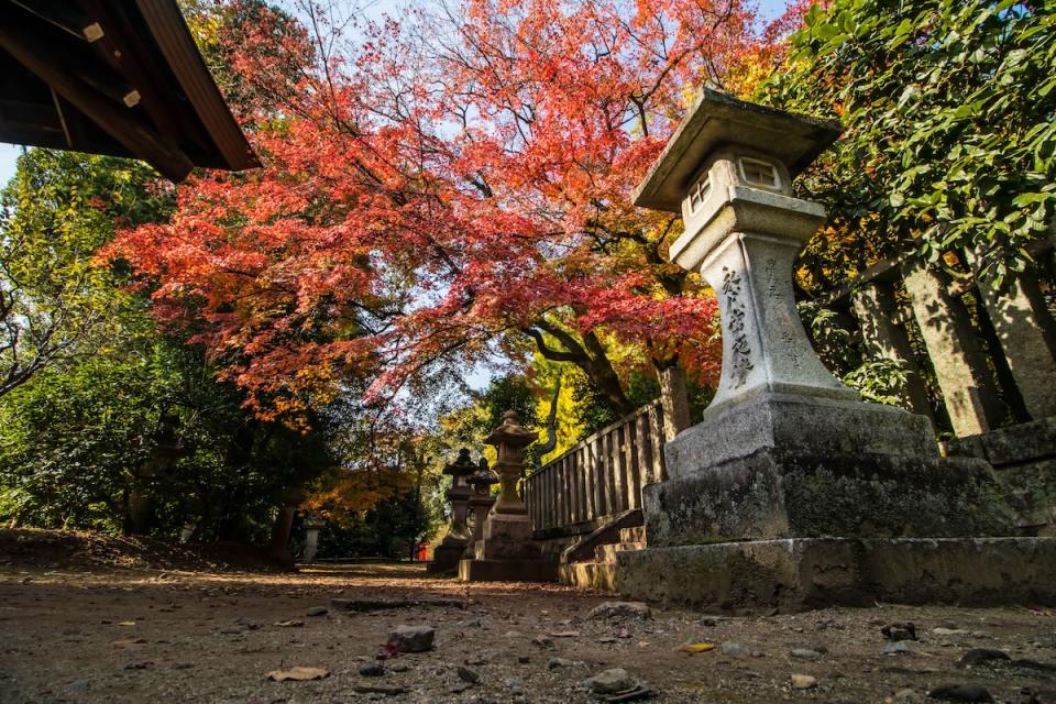 北野天滿宮（圖片來源：Getty Creative）