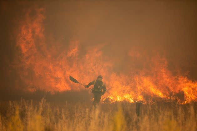 Bomberos luchan contra el fuego en Zamora. (Photo: Europa Press News via Getty Images)