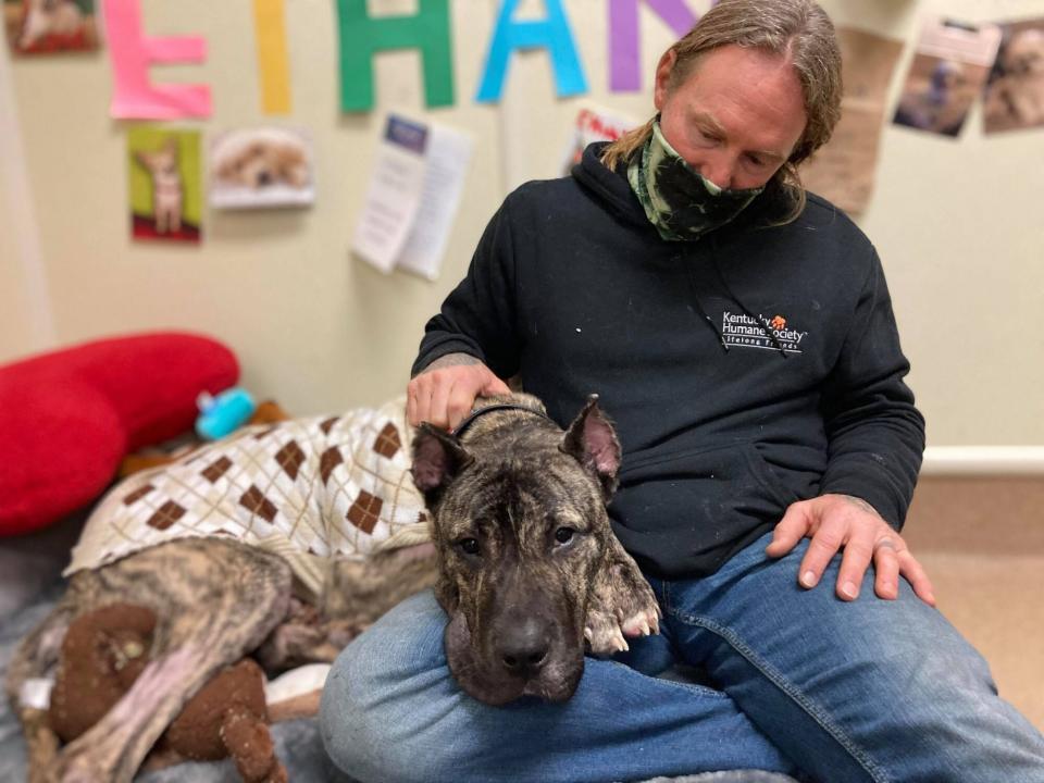 Ethan the dog moves into home with other pups