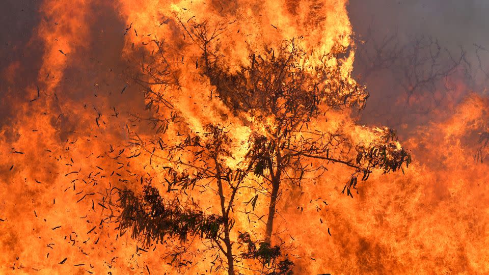 An out-of-control wildfire that began along a major Central Maui highway burns Thursday July 11, 2019, in Maui, Hawaii. - Matthew Thayer/The Maui News/AP