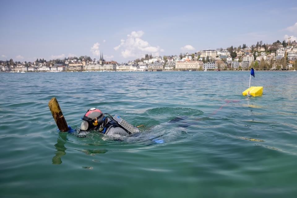 A diver holds a piece of wood while swimming in a lake surrounded by a Swiss town during the day