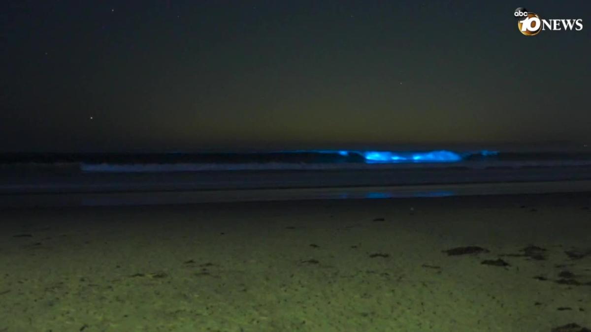 Bioluminescence waves hit La Jolla Shores