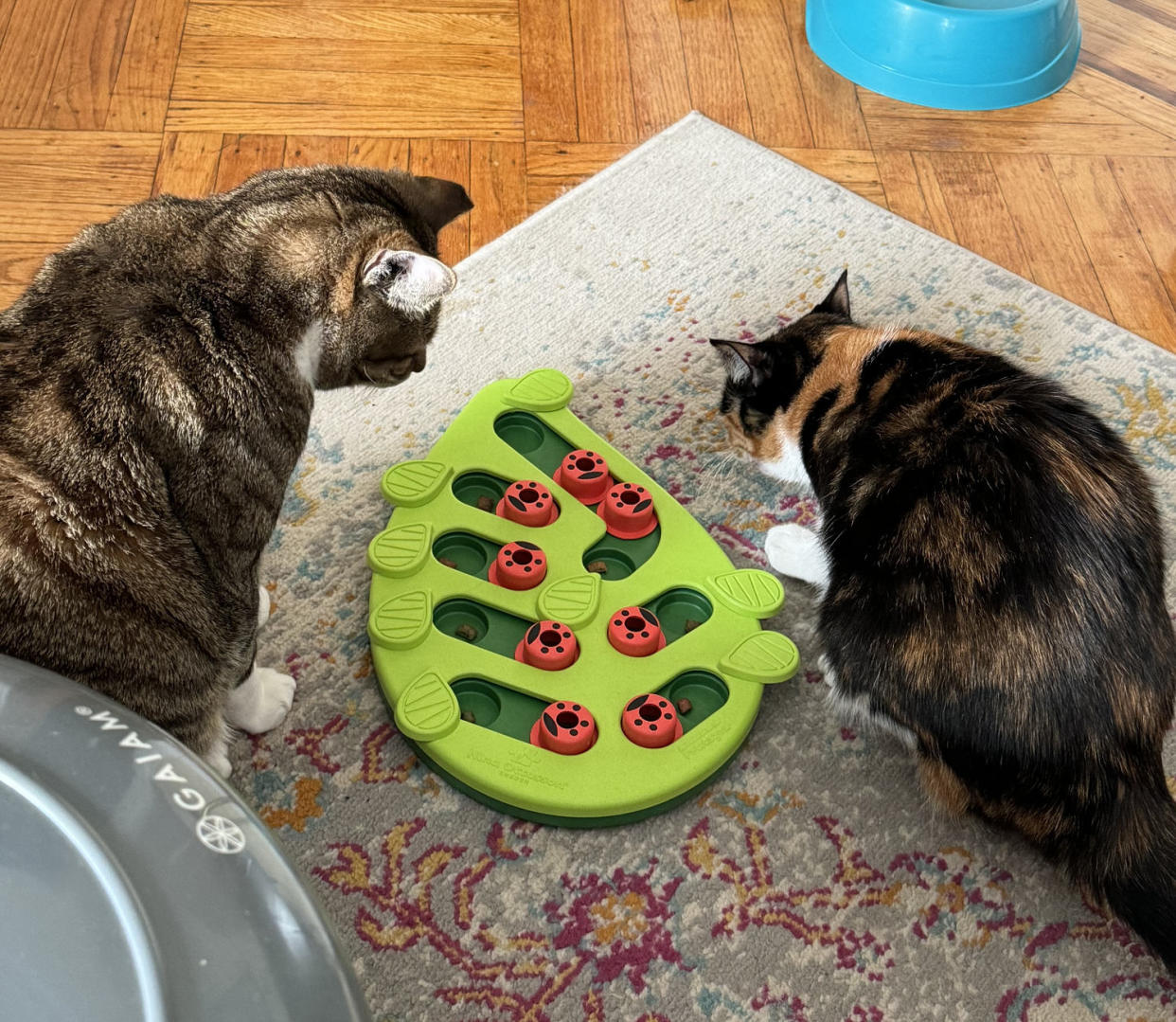 Cats playing with the Catstages by Nina Ottosson Buggin’ Out Puzzle & Play feeder (Courtesy Nikki Brown)