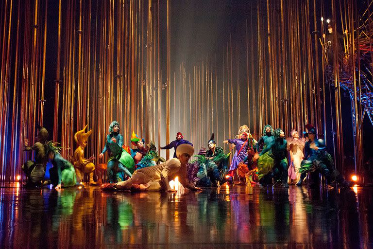 Varekai el Cirque du Soleil