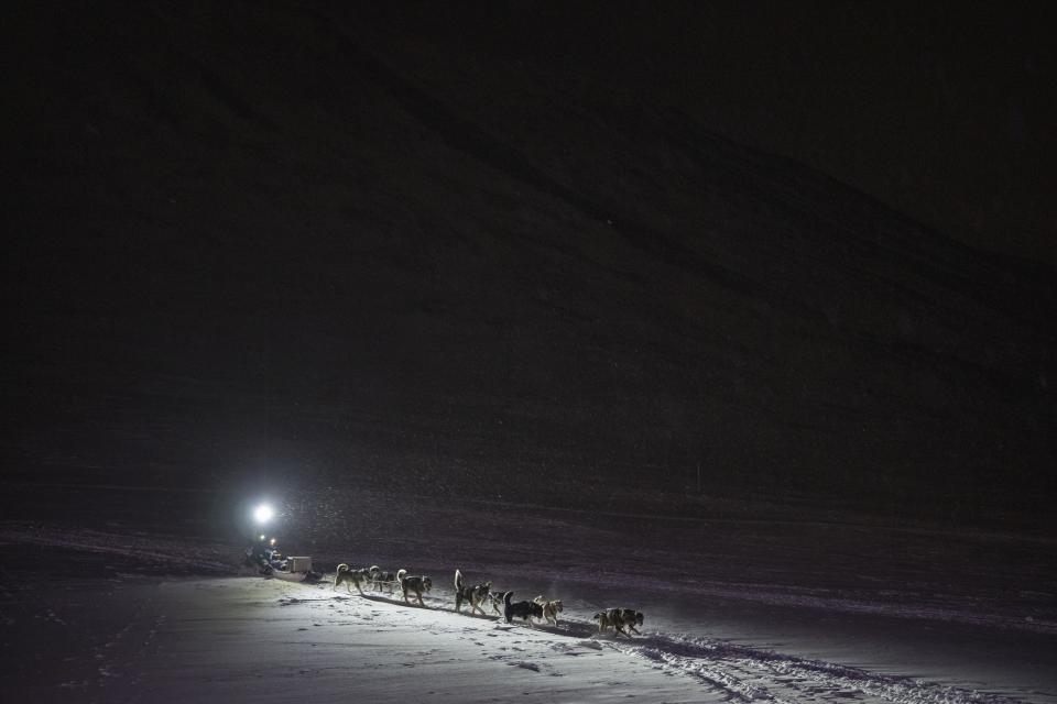 A dog sledding trip returns to a dog yard in Bolterdalen, Norway, Tuesday, Jan. 10, 2023. The yard is located half a dozen miles from the main village in Svalbard, a Norwegian archipelago so close to the North Pole that winter is shrouded in uninterrupted darkness. (AP Photo/Daniel Cole)