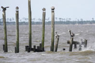 A stiff breeze across the Mississippi Sound attracts resting sea gulls on old pilings, Saturday, June 19, 2021, in Ocean Springs, Miss. Tropical Storm Claudette brought much evening and early morning rain and left a stiff breeze along the Mississippi Gulf Coast. (AP Photo/Rogelio V. Solis)