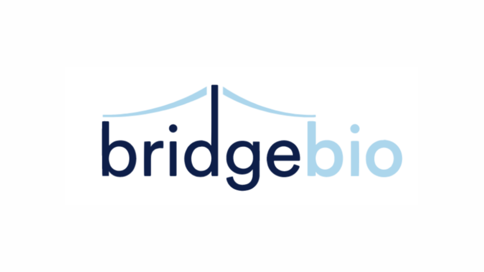 BridgeBio Pharma Seeks Partner To Develop Gene Therapy For Inherited Condition