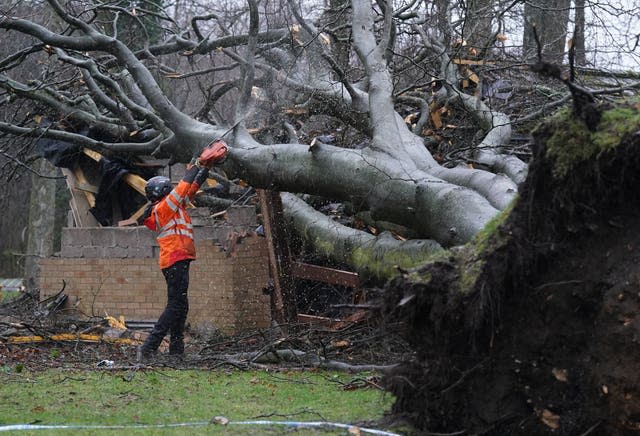 Workers remove a tree that fell on an electricity substation on the Kinnaird estate in Larbert during Storm Isha on Sunday. 