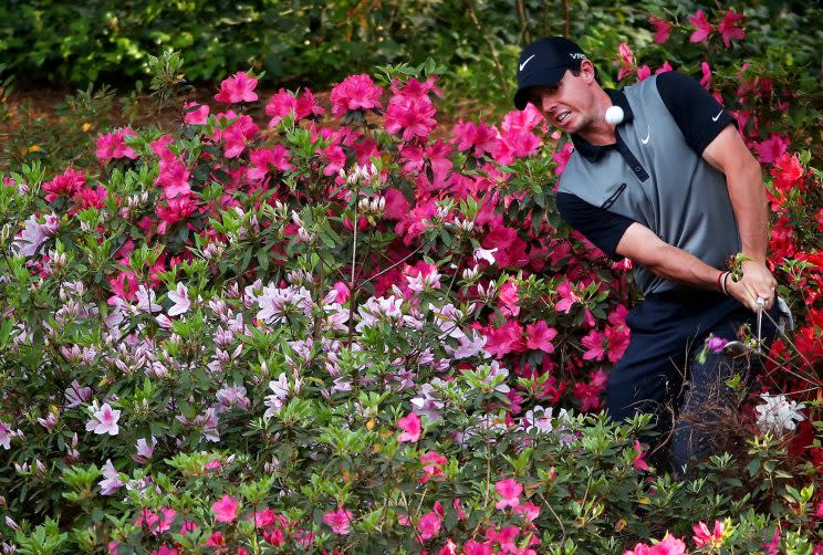 Rory McIlroy might not have as much trouble with azaleas this year. (Getty)