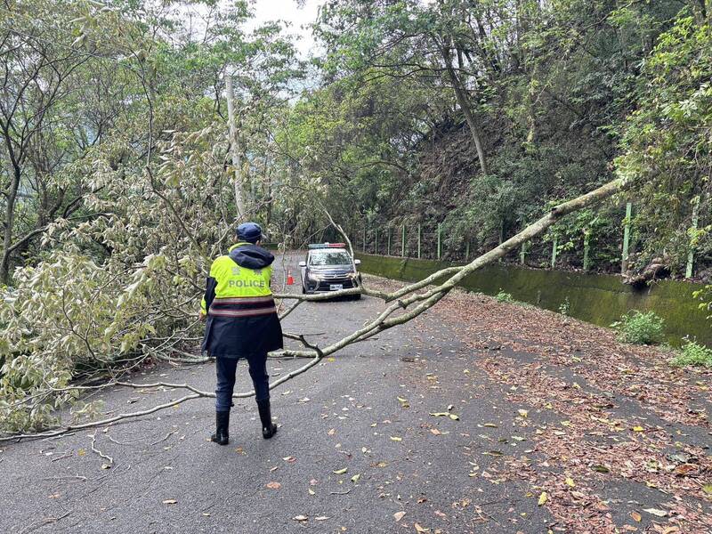 台8線產業道路樹倒影響交通 台中市警察局和平分局和平派出所員警26日上午巡邏 至和平區台8線技藝中心產業道路時，發現約4公尺長 的樹木倒塌橫跨車道、影響交通，隨即設立警示實施 交管，並通報相關單位派員清除。 （民眾提供） 中央社記者郝雪卿傳真  113年4月26日 