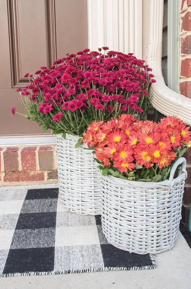 Easy Upcycled Basket Planters