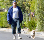 <p>Ewan McGregor steps out in Santa Monica, California, wearing rubber gloves while walking his dog on Saturday.</p>