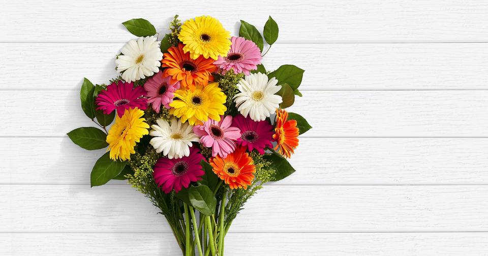 Colorful Gerbera Daisies