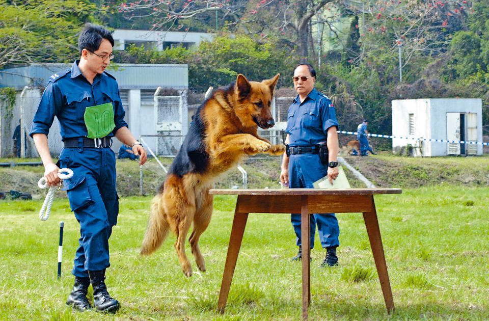 巡邏犬變身緝毒犬