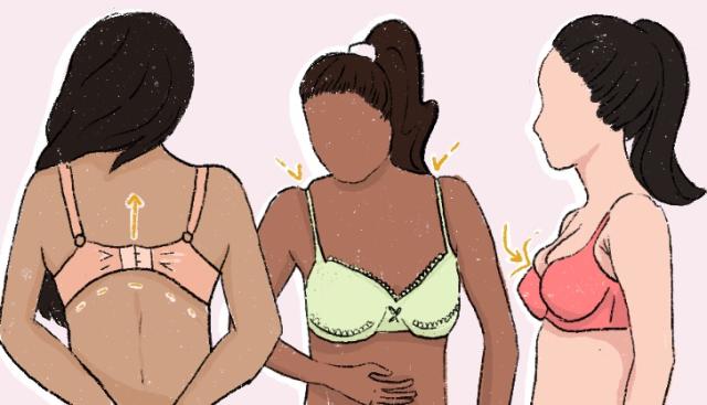 How to Choose the Correct Bra Size - Damidols