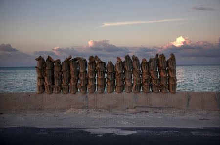 Newly-made sandbags sit on a wall on a causeway that connects the town of Bairiki and Betio on South Tarawa in the central Pacific island nation of Kiribati, in this May 25, 2013 file photo. REUTERS/David Gray