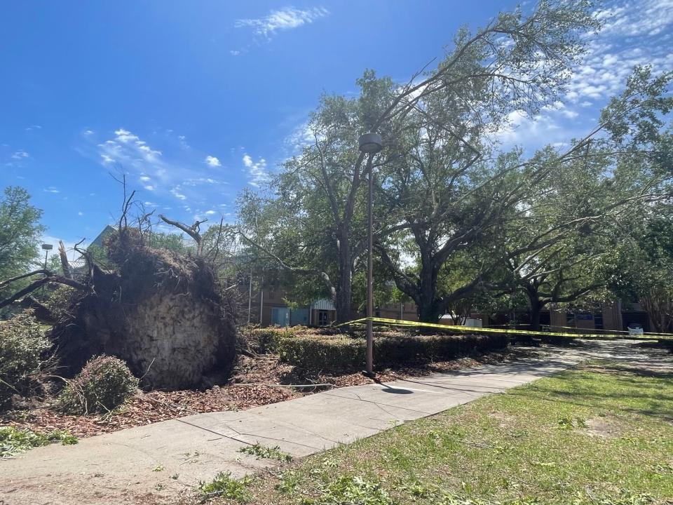 Tallahassee Community College damages following three EF-2 tornadoes on May 10, 2024 included over 400 downed or damaged trees, broken windows in four buildings, minor roof damage on 12 buildings and two trucks that were a total loss.