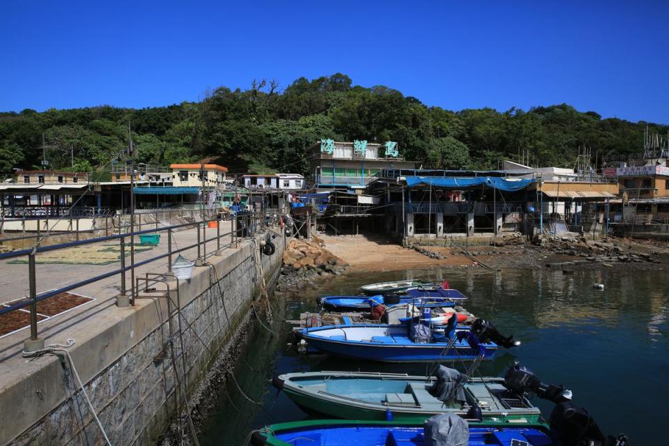 碼頭邊有2家海鮮餐廳，「海鮮島」是其中之一。