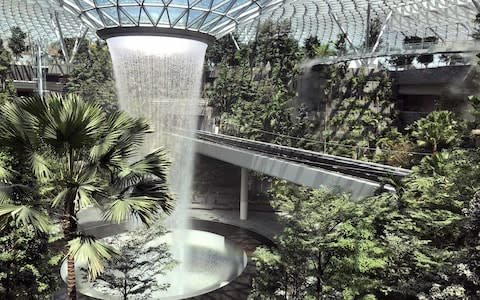 Jewel features more than 3,000 trees - Credit: changi airport