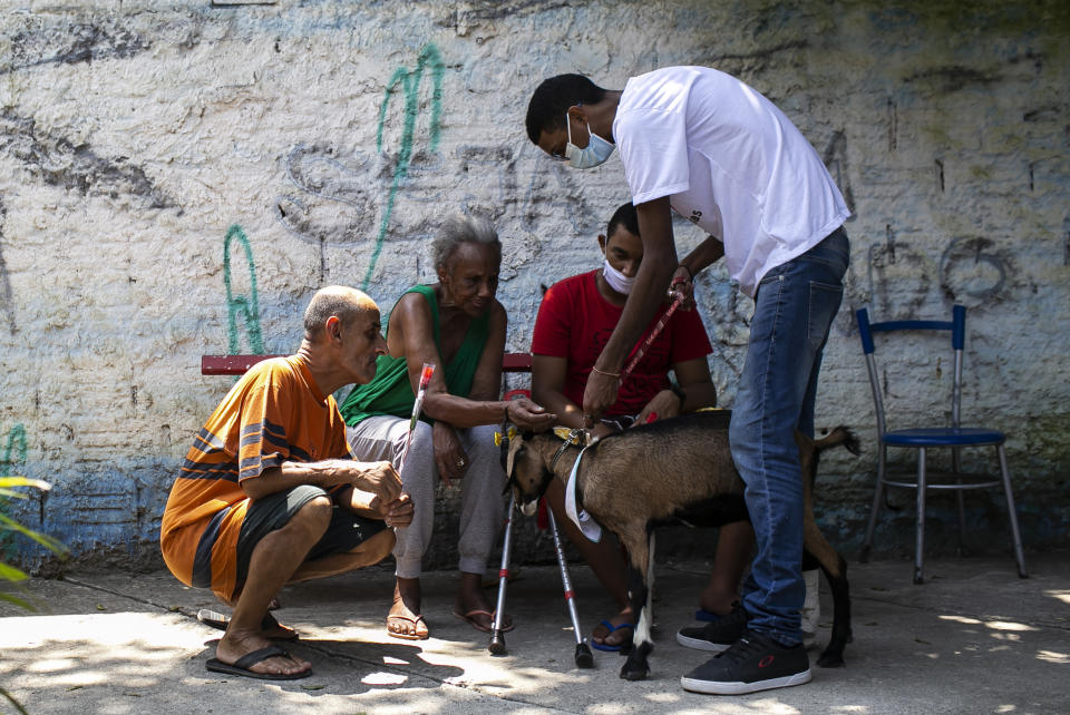 Seniors pet a goat named Jurema at the "Casa de Repouso Laços de Ouro" nursing home in Sepetiba, Brazil, Thursday, Oct. 1, 2020. The Golias organization brought the animals, who they rescued from abandonment, to provide a little relief from the isolation many elderly people feel, cut off from friends and family due to fear of contagion from the new coronavirus. (AP Photo/Bruna Prado)