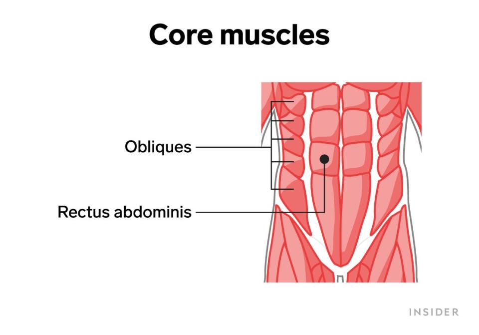 core muscles