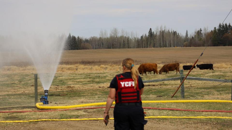 Yellowhead County Fire Department has set up large sprinklers, drawing water from the Lobstick River. The sprinklers are being placed around the community of Wildwood, Alta. to create a humidity bubble as protection if the fire nears the hamlet