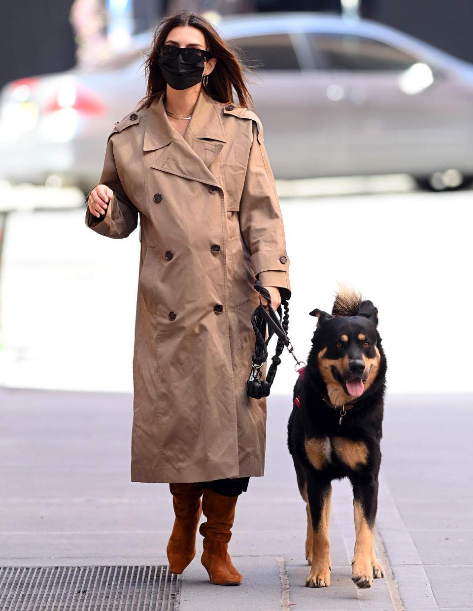 <p>Pregnant Emily Ratajkowski and her dog are almost color-coordinated on Friday in N.Y.C.</p>