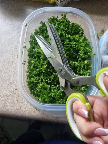 a close-up image of the herb scissors, showing five stacked blades