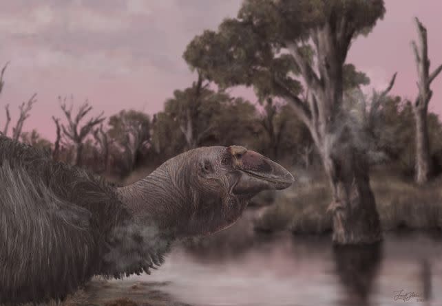 A reconstruction of the face of <em>Genyornis newtoni</em>. (Jacob C. Blokman/Flinders University)