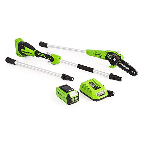 Greenworks 40V 8-Inch Cordless Polesaw, 2.0Ah Battery and Charger Included PS40B210