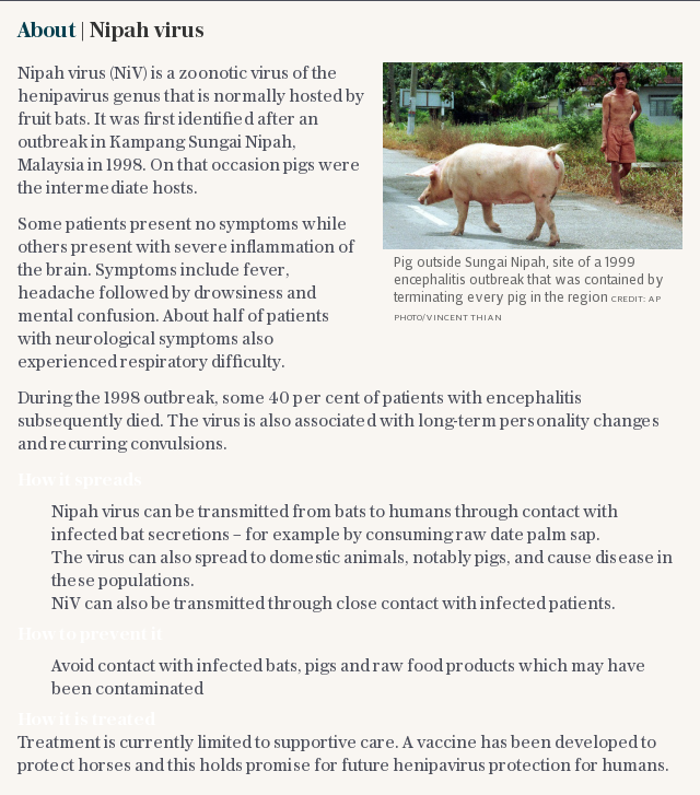 About | Nipah virus