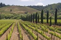 <p>If you've ever wanted to visit Tuscany, Healdsburg is your next best bet. It falls along the <a href="https://www.smithsonianmag.com/travel/ten-american-towns-feel-europe-180975340/" rel="nofollow noopener" target="_blank" data-ylk="slk:same line of latitude" class="link ">same line of latitude</a> as the Italian region, so it has a similar climate and grows a ton of Tuscan wine varieties. The town's Italian cuisine is also not to be missed. </p>