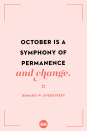 <p>October is a symphony of permanence and change.</p>