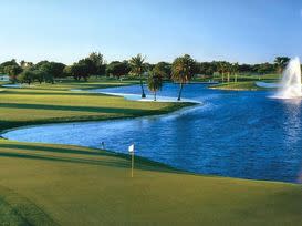 TPC Blue Monster at Doral