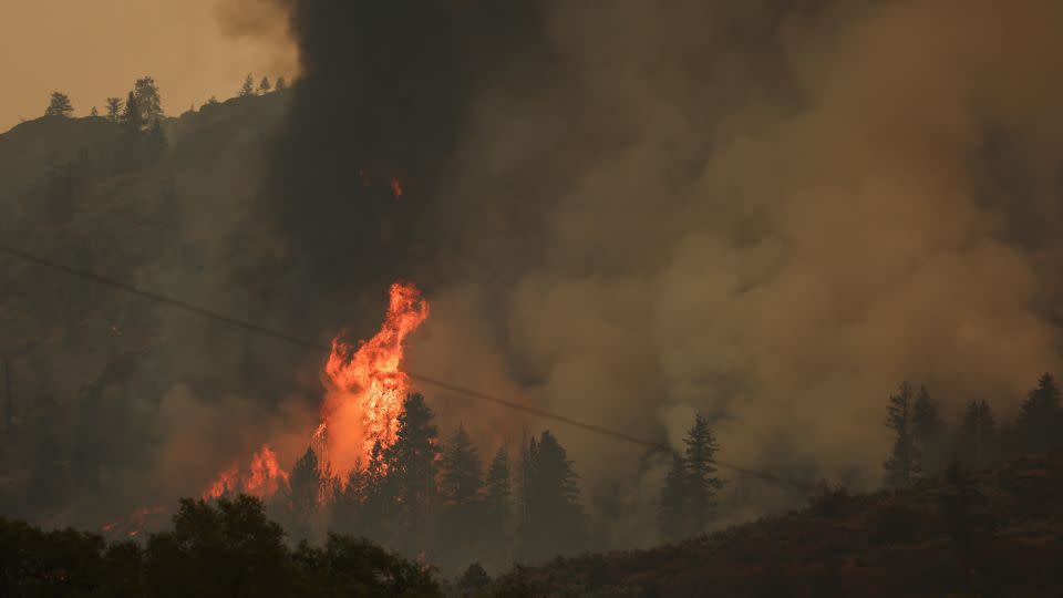 Trees catch fire during the Eagle Bluff wildfire after it crossed the Canada-US border from the state of Washington and prompted evacuation orders in British Columbia, Canada on July 30, 2023.  - Jesse Winter/Reuters