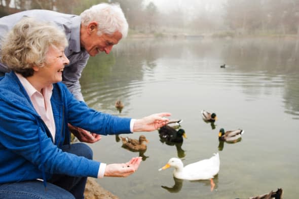 Husband and wife feeding ducks by the lake