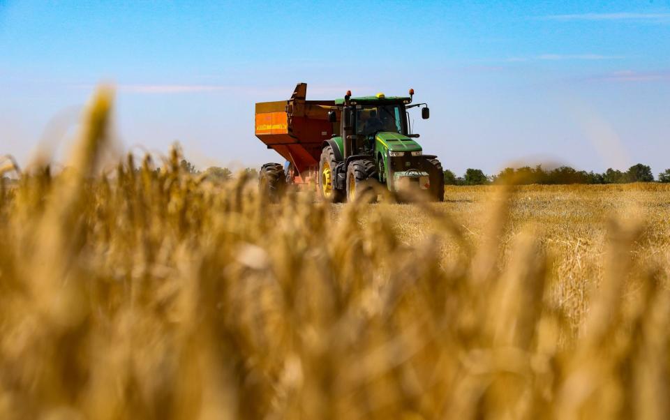 A tractor is seen in a field during the harvesting of grain crops in Odesa Region, southern Ukraine - Nina Liashonok/Ukrinform/Future Publishing via Getty Images