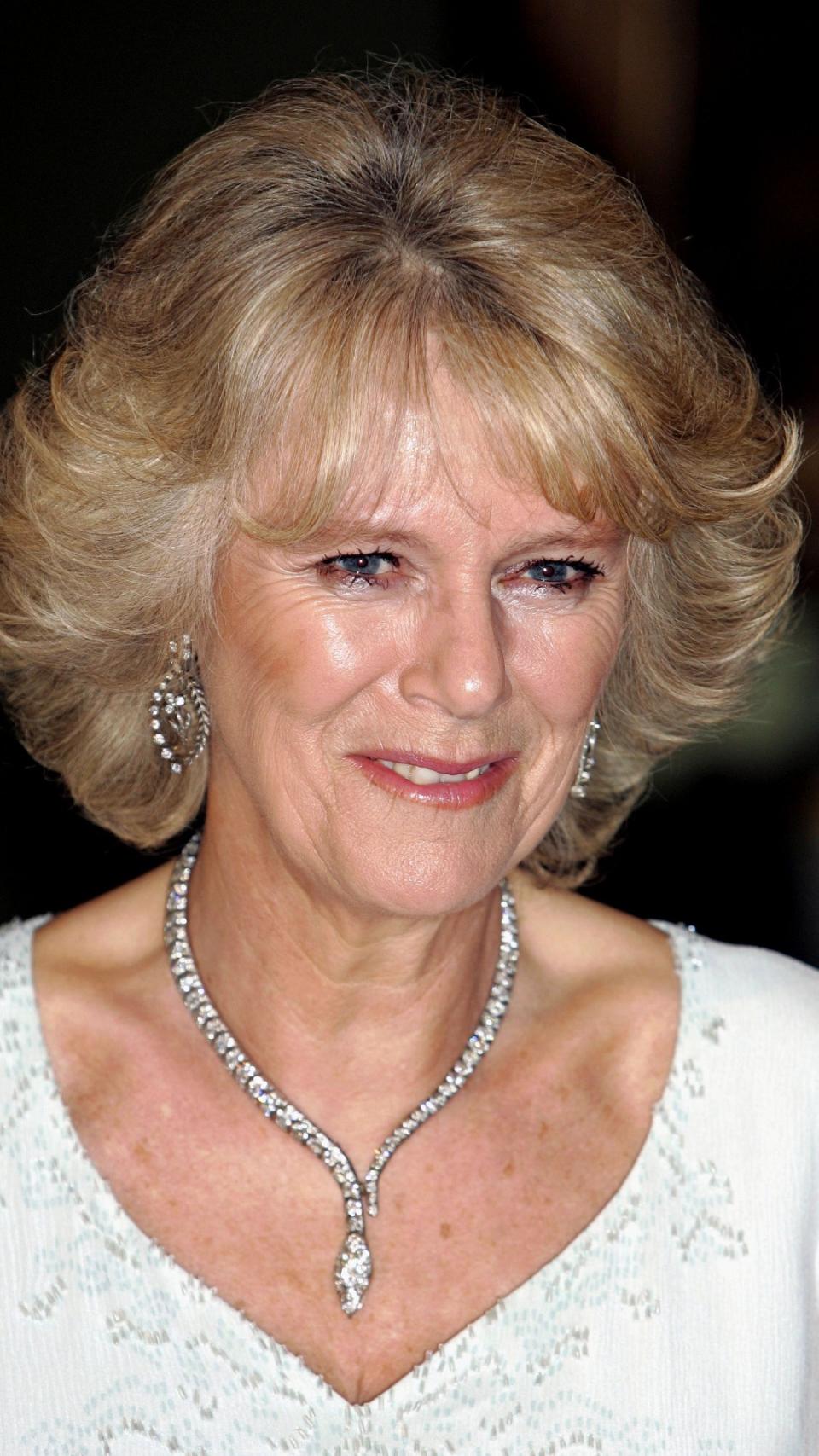 Queen Camilla's snake necklace