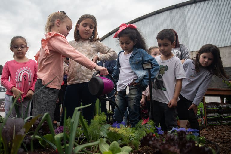 Las posibilidades de entretenimiento en la feria rural de Palermo incluyen aprender a hacer la primera huerta y recibir conocimientos básicos de compostaje y biodiversidad